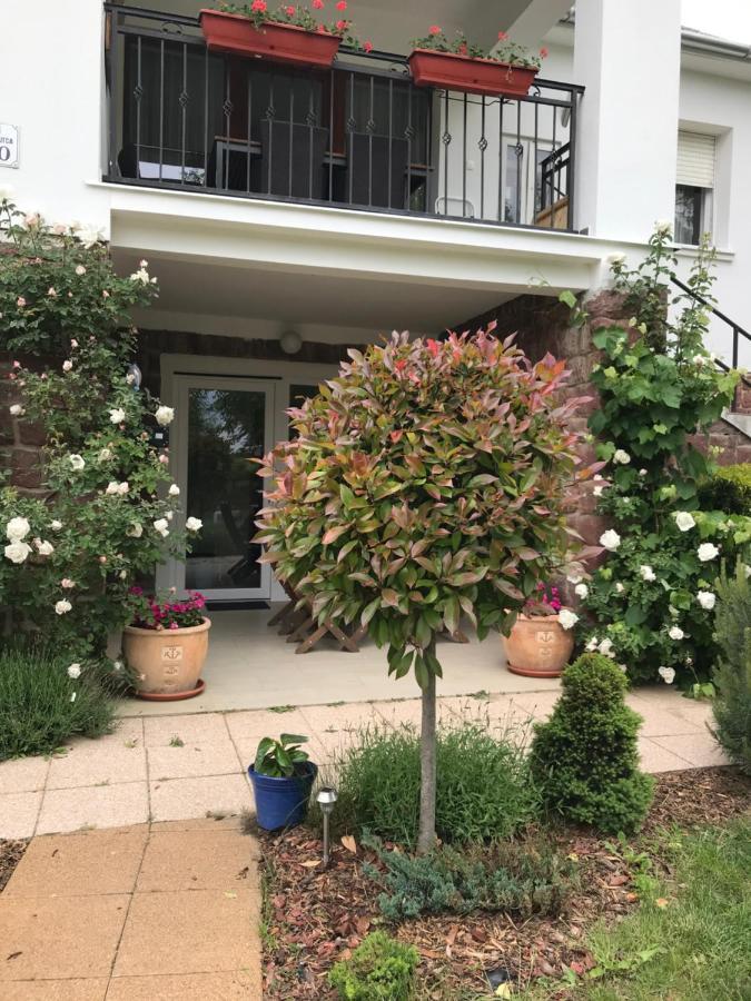 Levendula Apartmanhaz Badacsonytomaj Luaran gambar