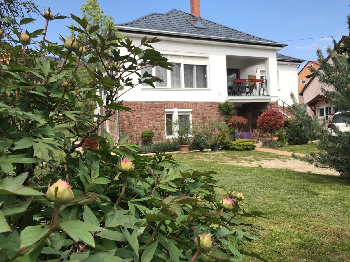 Levendula Apartmanhaz Badacsonytomaj Luaran gambar