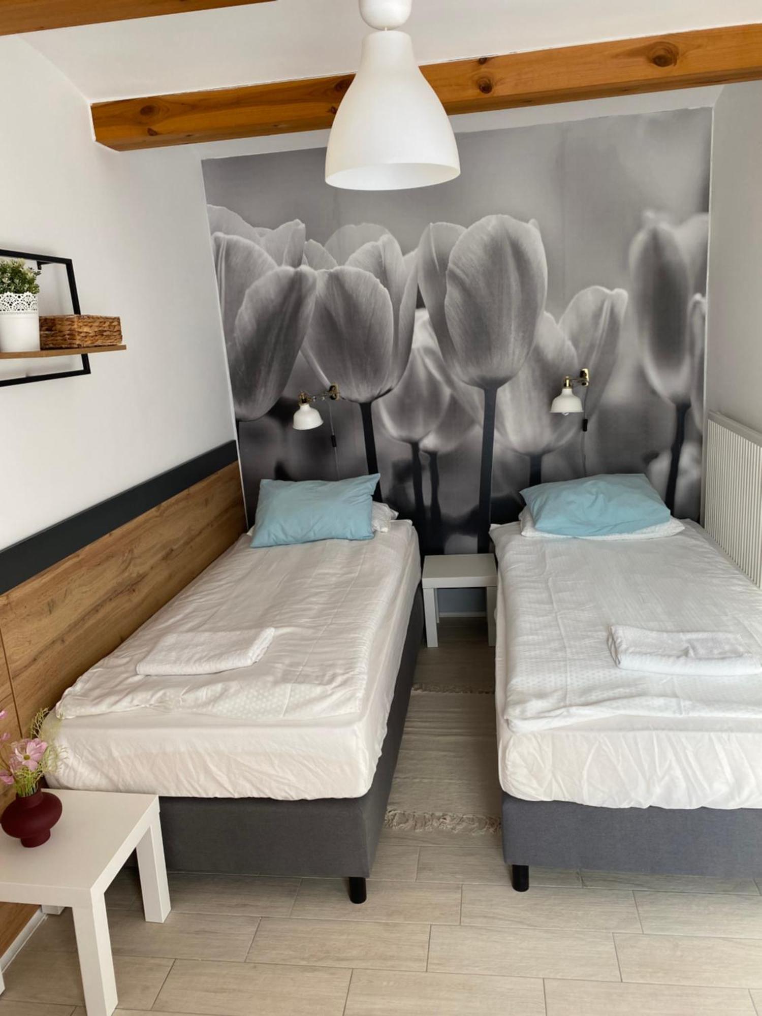Levendula Apartmanhaz Badacsonytomaj Luaran gambar